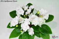 ЛЕ-Серебряный Ручей (трейлер) (л/ук) - код Ф860 ЛЕ-Серебряный Ручей (трейлер) (л/ук) - код Ф860