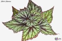 Shirt Sleeves (дет) - код Б052