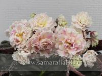 АВ-Золотые Нити Рассвета (стандарт) (л/ук) - код Ф332