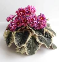 Р-Кармен (стандарт) (л/ук) - код Ф836