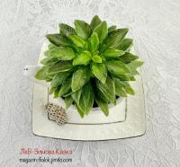 ЛеВ-Зимова Казка (миниатюра-химера) (п/ук) - код Ф807