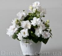 DS-Невеста (трейлер) (л/ук) - код Ф547