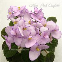 Ness' Pink Confetti (миниатюра) (л/ср) - код Ф959