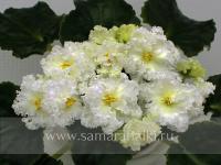 АВ-Легенда о Золотой Луне (стандарт) (л/ук) - код Ф521