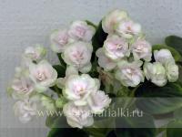 Chanta Mara (трейлер) (л/ср) - код Ф406 Chanta Mara (трейлер) (л/ср) - код Ф406