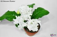 DS-Бальное Платье (Новинка) (дет) - код С108