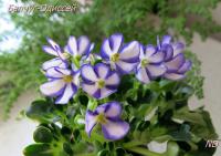 Балчуг-Одиссей (миниатюра-химера) (п/ук) - код Ф083