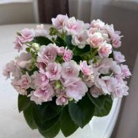 Hunter's Chickadee Chirps (миниатюра) (л/ср) - код Ф902