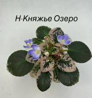 Н-Княжье Озеро (миниатюра) (л/ср) - код Ф558