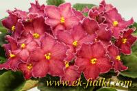 ЕК-Пряничный Домик (стандарт) (л/ук) - код Ф797 **