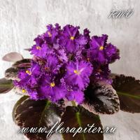 ЛЕ-Фейерверк (миниатюра) (л/ср) - код Ф322