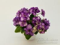 ЛЕ-Аметистовые Брызги (миниатюра) (л/ук) - код Ф625 **