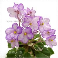 Lil Rich Girl (миниатюра) (л/ср) - код Ф928 **