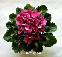 Ma's Melody Girl (миниатюра) (л/ср) - код Ф376 **