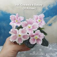 НК-Стежка в Весну (миниатюра) (л/ср) - код Ф586