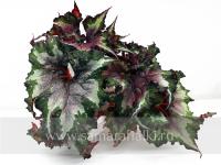 HR-Vortex (л/ср) - код Б004