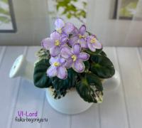 Vi-Lord (миниатюра) (л/ср) - код Ф379