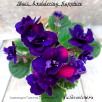 Мас's Smоldеring Sаррhirе (миниатюра) (л/ср) - код Ф675