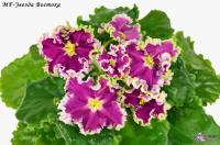 MF-Звезда Востока (Новинка 2023) (стандарт) (л/ук) - код Ф1050