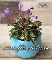 Н-Сплетница (микро-трейлер) (л/ук) - код Ф896 Н-Сплетница (микро-трейлер) (л/ук) - код Ф896