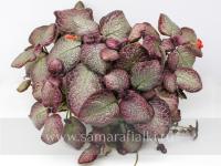 НиКа-Река Матреночка (сталон срез) - код Э006