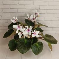 ЕЛ-Ангел Гая (миниатюра) (л/ук) - код Ф627