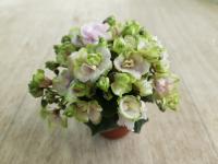 ЦМ-Мамма Мия (миниатюра) (л/ук) - код Ф572