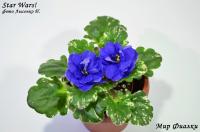 Star Wars! (миниатюра) (л/ср) - код Ф328 **