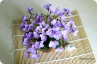 Frоstеd Fаntаsy (трейлер) (л/ук) - код Ф984 Frоstеd Fаntаsy (трейлер) (л/ук) - код Ф984