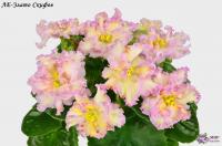 ЛЕ-Злато Скифов (стандарт) (л/ук) - код Ф257