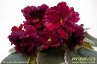 ЕК-Марш Мендельсона (стандарт) (л/ук) - код  Ф197 **