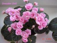 Dresden Doll (трейлер) (л/ук) - код Ф924