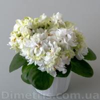 DS-Прекрасное Далёко (миниатюра) (л/ср) - код Ф964