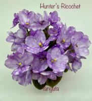 Hunter’s Ricochet (миниатюра) (л/ср) - код Ф354