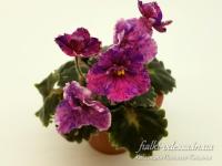 ЛЕ-Экзотик (миниатюра) (л/ср) - код Ф914