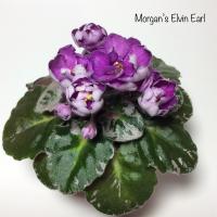 Morgan's Elvin Earl (миниатюра) (л/ср) - код Ф560