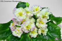 ЕК-Солнечное Настроение (стандарт) (л/ук) - код Ф457 **