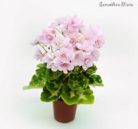 БР-Элита (миниатюра) (л/ср) - код Ф604