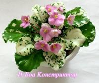 Н-Боа Констриктор (миниатюра) (дет) - код Ф873