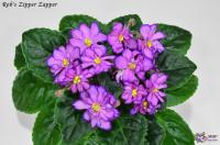 Rob's Zipper Zapper (миниатюра) (л/ук) - код Ф343 **