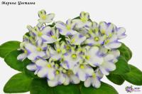 Марина Цветаева (миниатюра-химера) (п/ук) - код Ф022