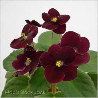 Mac’s Black Jack (миниатюра) (л/ср) - код Ф929