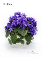 ЛЕ-Юкон (трейлер) (л/ук) - код Ф1041