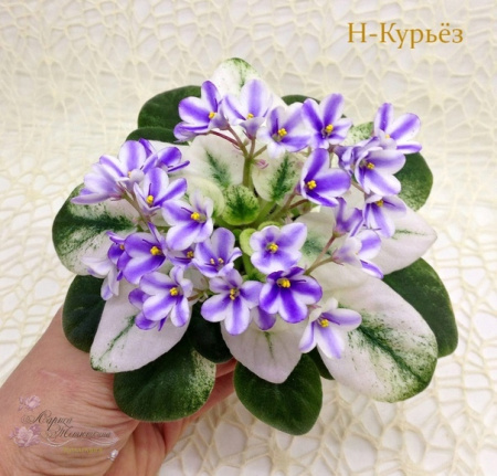 Н-Курьёз (миниатюра-химера) (п/ук) - код Ф826